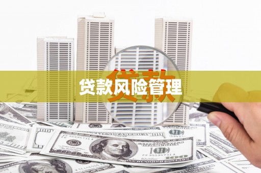中坜贷款风险管理
