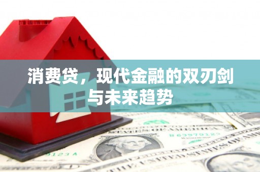 中坜消费贷，现代金融的双刃剑与未来趋势