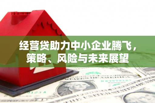 中坜经营贷助力中小企业腾飞，策略、风险与未来展望