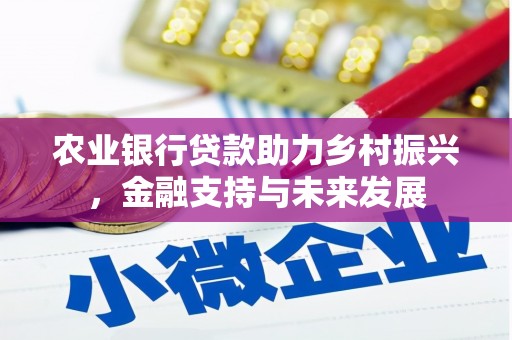中坜农业银行贷款助力乡村振兴，金融支持与未来发展