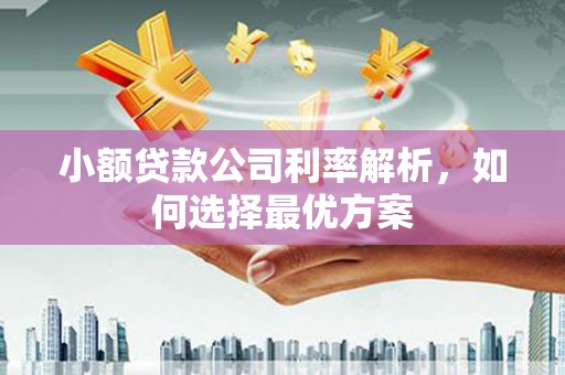 中坜小额贷款公司利率解析，如何选择最优方案