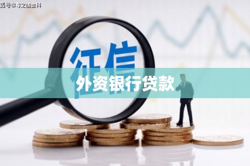中坜外资银行贷款