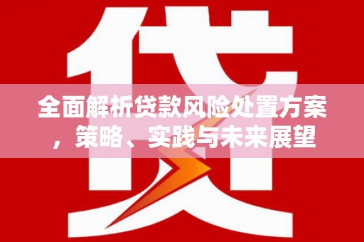中坜全面解析贷款风险处置方案，策略、实践与未来展望