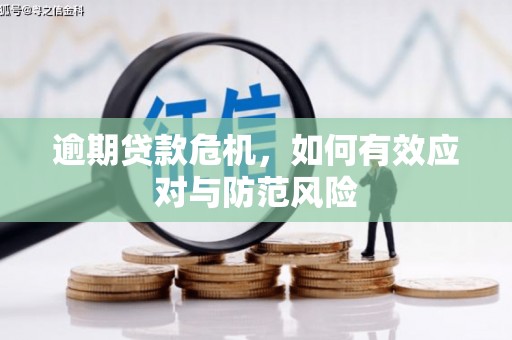 中坜逾期贷款危机，如何有效应对与防范风险