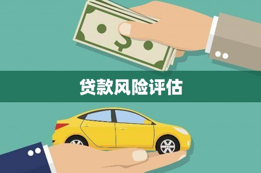 中坜贷款风险评估