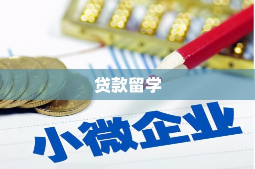 中坜贷款留学