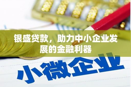 中坜银盛贷款，助力中小企业发展的金融利器
