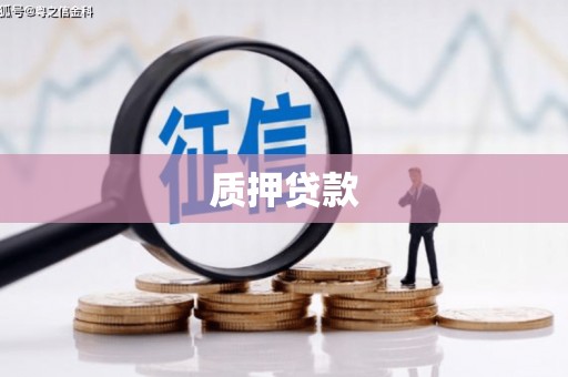 中坜质押贷款