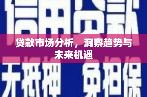 中坜贷款市场分析，洞察趋势与未来机遇