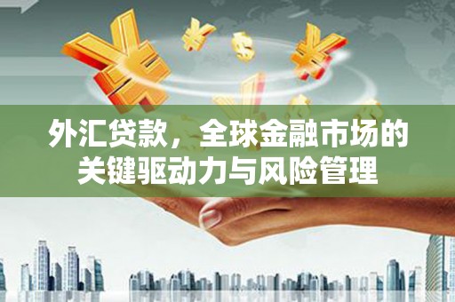 中坜外汇贷款，全球金融市场的关键驱动力与风险管理