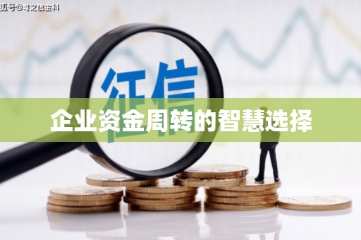 中坜企业资金周转的智慧选择