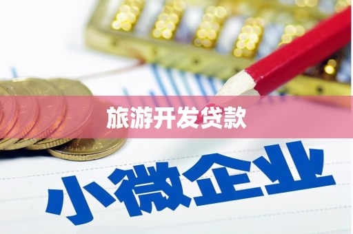 中坜旅游开发贷款