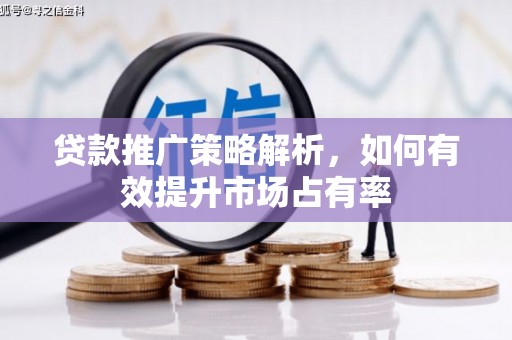 中坜贷款推广策略解析，如何有效提升市场占有率