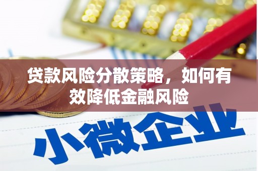 中坜贷款风险分散策略，如何有效降低金融风险