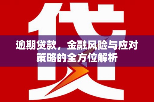 中坜逾期贷款，金融风险与应对策略的全方位解析