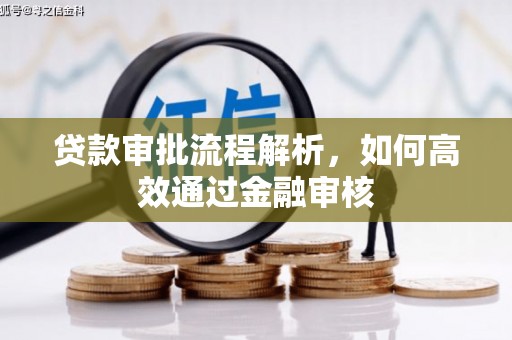中坜贷款审批流程解析，如何高效通过金融审核