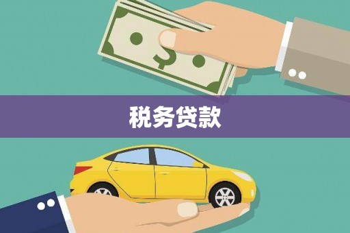 中坜税务贷款