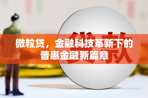 中坜微粒贷，金融科技革新下的普惠金融新篇章