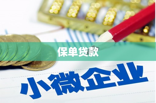 中坜保单贷款