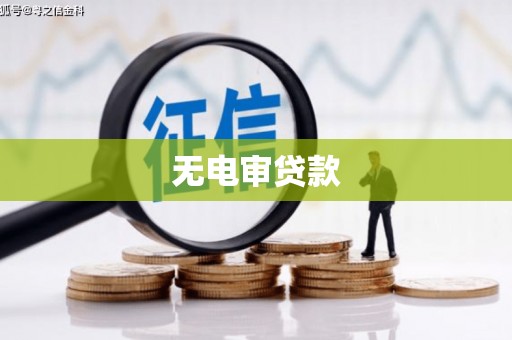 中坜无电审贷款