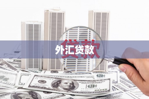 中坜外汇贷款