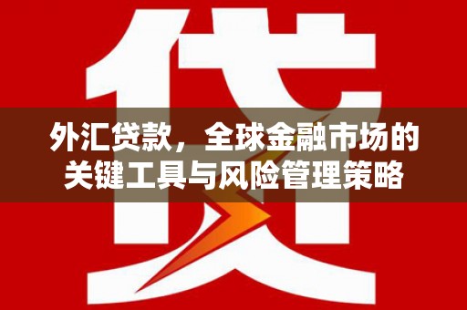 中坜外汇贷款，全球金融市场的关键工具与风险管理策略
