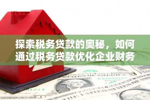 中坜探索税务贷款的奥秘，如何通过税务贷款优化企业财务