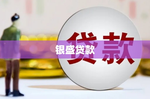 中坜银盛贷款