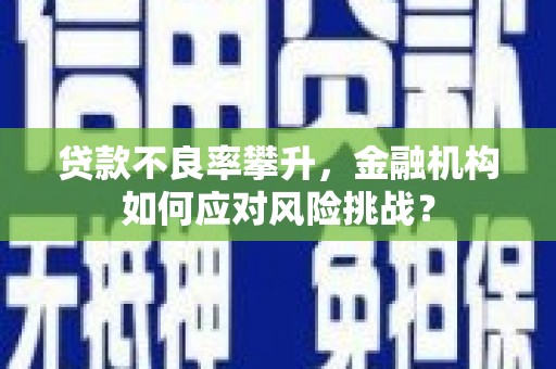 中坜贷款不良率攀升，金融机构如何应对风险挑战？