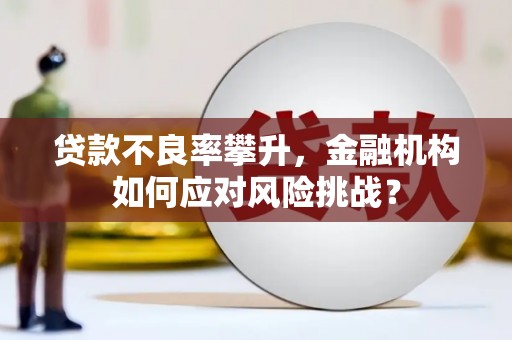 中坜贷款不良率攀升，金融机构如何应对风险挑战？