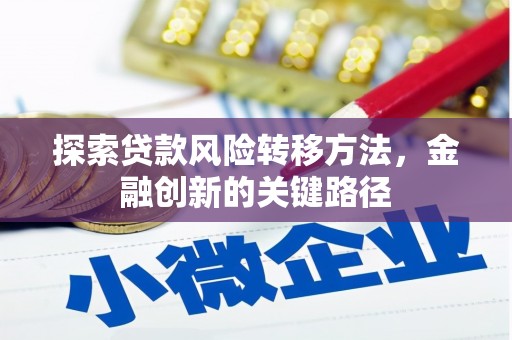 中坜探索贷款风险转移方法，金融创新的关键路径