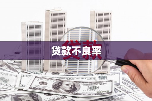 中坜贷款不良率