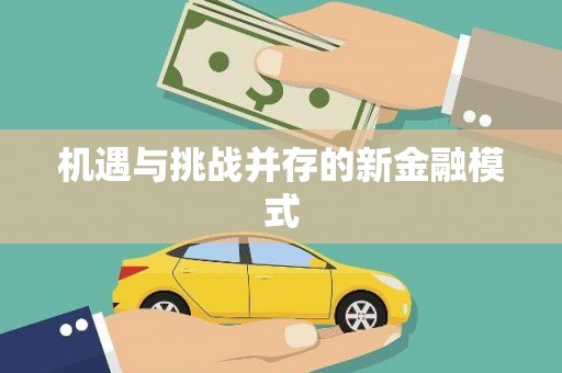 中坜机遇与挑战并存的新金融模式