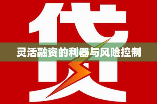 中坜灵活融资的利器与风险控制