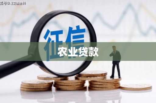 中坜农业贷款