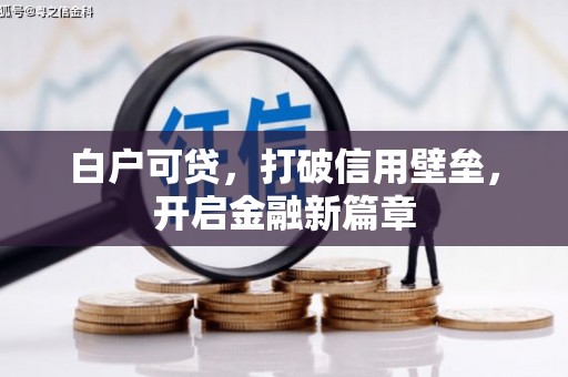 中坜白户可贷，打破信用壁垒，开启金融新篇章
