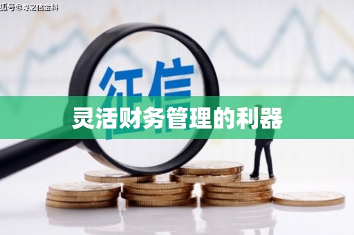 中坜灵活财务管理的利器