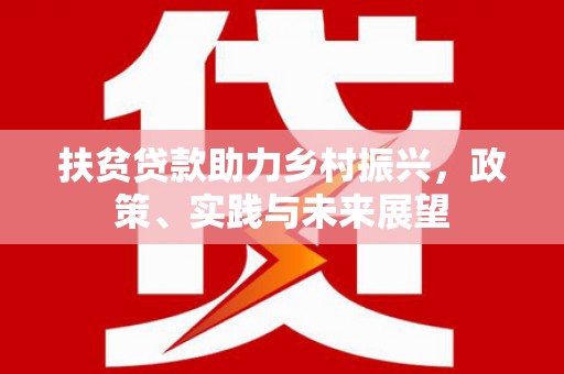 中坜扶贫贷款助力乡村振兴，政策、实践与未来展望