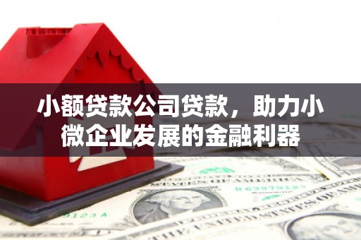 中坜小额贷款公司贷款，助力小微企业发展的金融利器