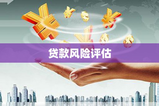 中坜贷款风险评估