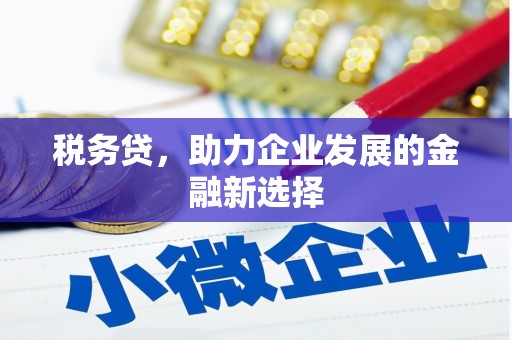 中坜税务贷，助力企业发展的金融新选择
