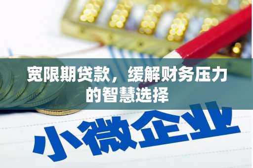 中坜宽限期贷款，缓解财务压力的智慧选择