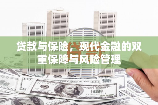 中坜贷款与保险，现代金融的双重保障与风险管理