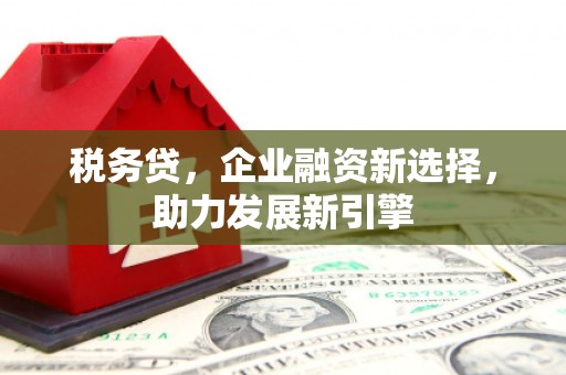 中坜税务贷，企业融资新选择，助力发展新引擎