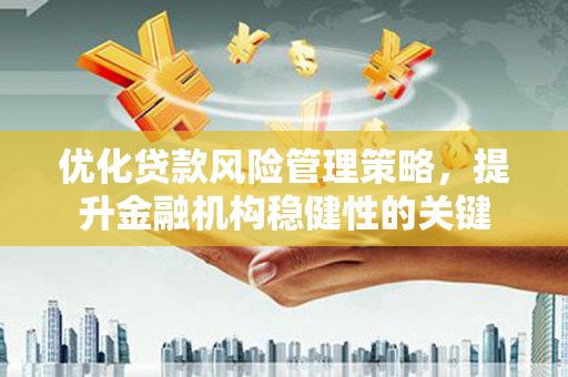 中坜优化贷款风险管理策略，提升金融机构稳健性的关键