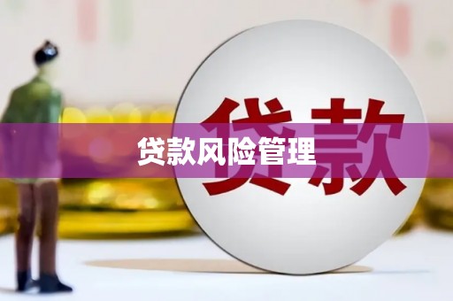 中坜贷款风险管理