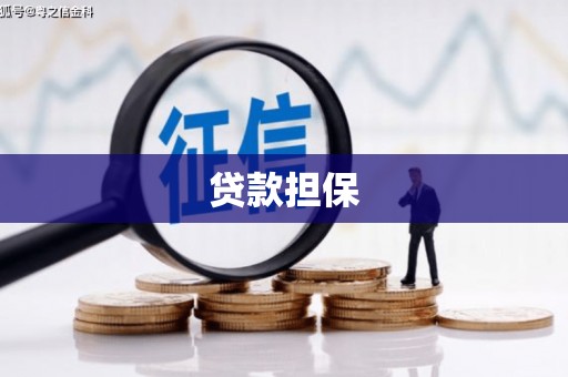 中坜贷款担保