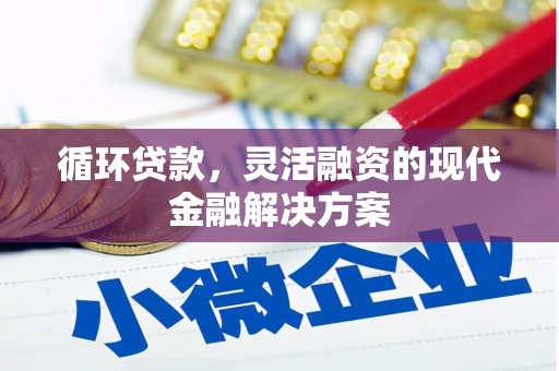 中坜循环贷款，灵活融资的现代金融解决方案
