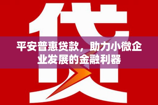 中坜平安普惠贷款，助力小微企业发展的金融利器