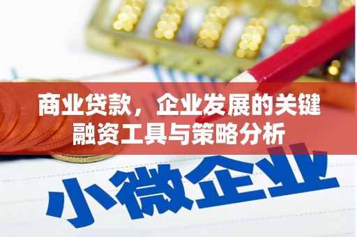 中坜商业贷款，企业发展的关键融资工具与策略分析
